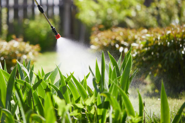 24/7 Emergency Cockroach Control experts in Lemoore, CA