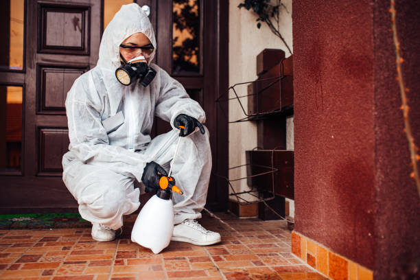 Reliable Cockroach Control contractor in Lemoore, CA by Nex Pest Control